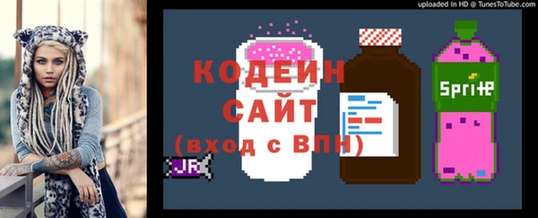 молекула духа Киреевск