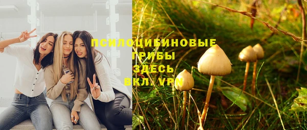 меф Корсаков