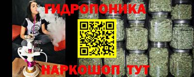 крисы Конаково