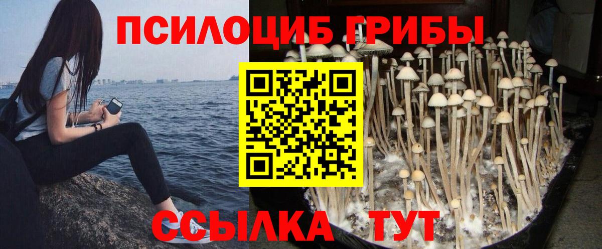 цена наркотик  Галлюциногенные грибы GOLDEN TEACHER  Вход с VPN  Краснотурьинск 